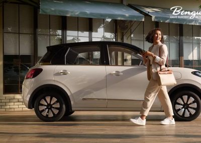 Binguo EV banner 1